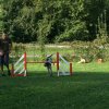 agility 2011-08